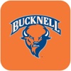 Bucknell Bison for iPad 2015