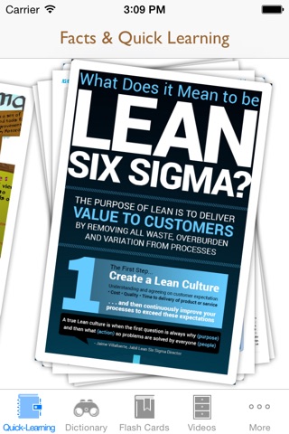6 Sigma Guidance: Six Sigma Cheat Sheets with Glossary and Free Video Lessons screenshot 2