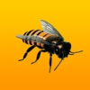 ZomBee Watch Mobile