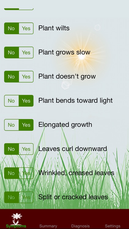 The Plant Doctor