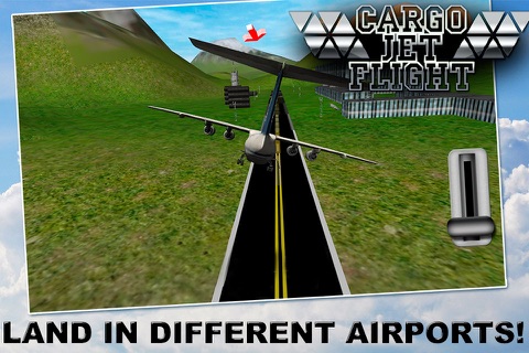 Cargo Jet: Flight Simulator 3D screenshot 3