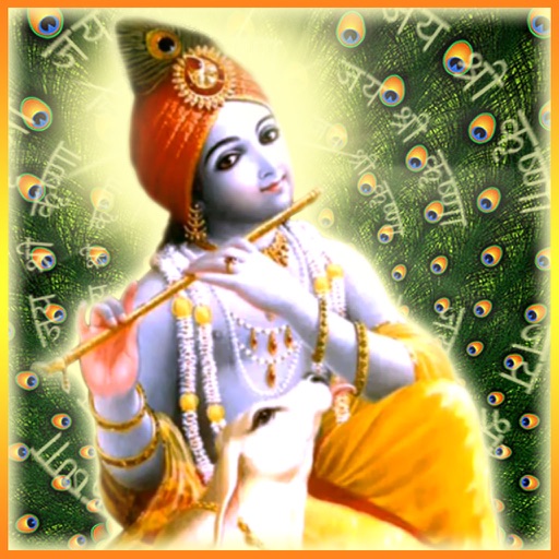 Krishna Mantra Jaap Pro icon