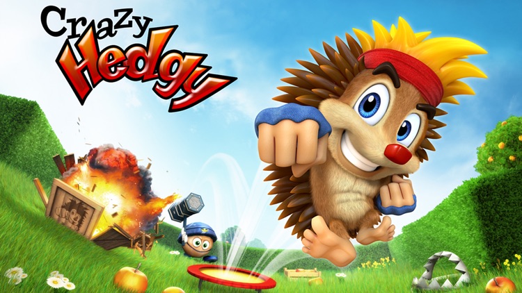 Crazy Hedgy - Beat ’em up 3D Platformer screenshot-4