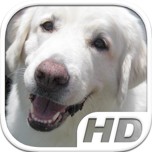 Tatra Sheepdog Simulator HD Animal Life icon