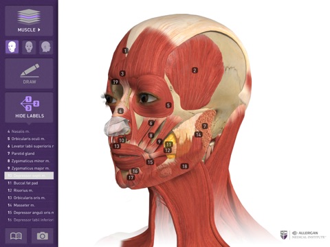 Interactive Anatomy - LB screenshot 3