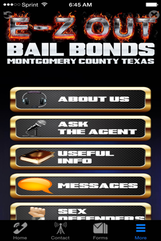 EZ Out Bail screenshot 4