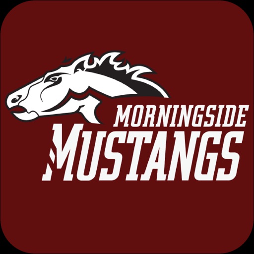 Morningside Mens Volleyball icon