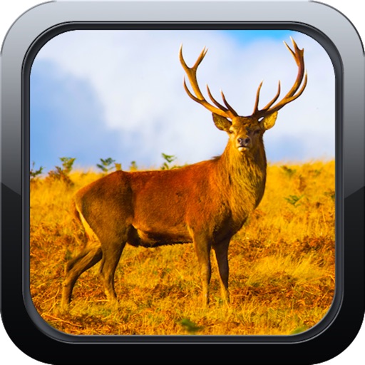 Mule Deer Hunting Pro Icon