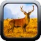 Mule Deer Hunting Pro