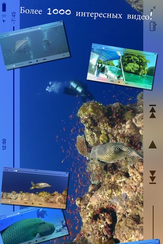 Scuba Diving World screenshot 2