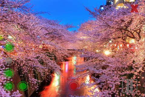 Relax Nature: Sakura screenshot 3