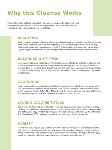 3 Day Cleanse Meal Plan screenshot 2