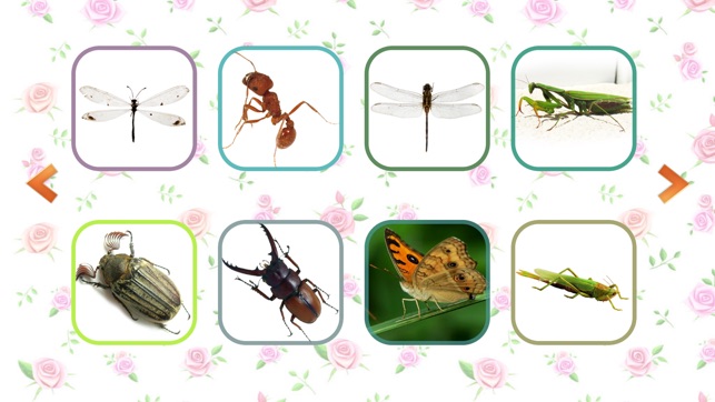 Toddler Learning Animal and Bugs(圖2)-速報App