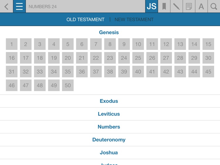 JSM screenshot-3