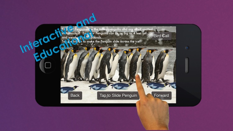 The Bird Book - an Interactive Storybook for Children screenshot-3