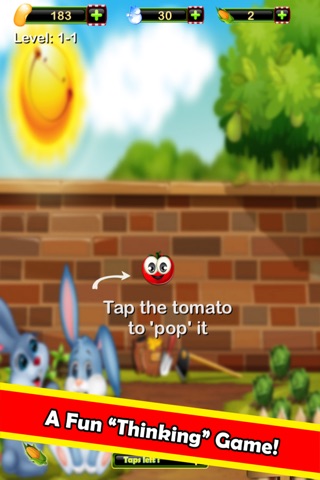 Tomato Squashers screenshot 2