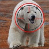 2016 Wild Polar Bear Sniper Hunter Pro