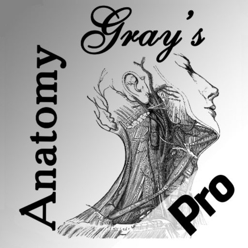 Gray's Anatomy Pro 2014
