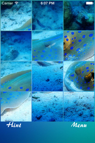 Free Ocean Jigsaw Puzzle screenshot 3