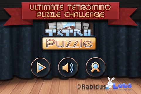Tetro Puzzle screenshot 4