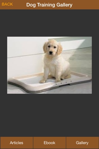 Dog Potty Training Guide - How To Potty Train Your Dog More Effectively screenshot 4