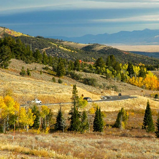 Scenic Route to Tetons and Yellowstone