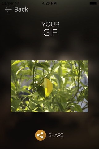 Sendgif with Full Camera HD (720p,1080i,4k,etc..) : Record and share your own gifs screenshot 4