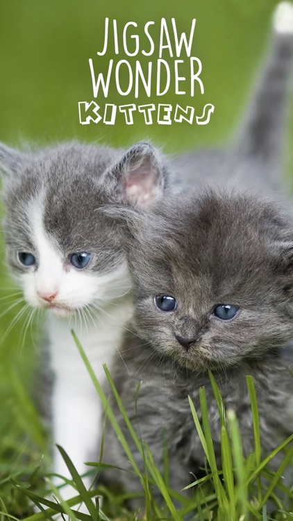 Jigsaw Wonder Kittens Puzzles for Kids Free screenshot-3