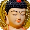 Đố Vui Phật Học - Trắc Nghiệm Thử Thách Hiểu Biết và Kiến Thức Của Bạn Về Đạo Phật