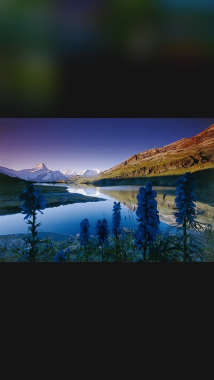 All Photos App
