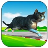 Cat Chase Lite