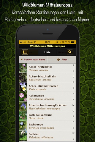 Wildblumen Mitteleuropas screenshot 2