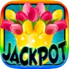 A Aaba Garden Jackpot and Roulette & Blackjack