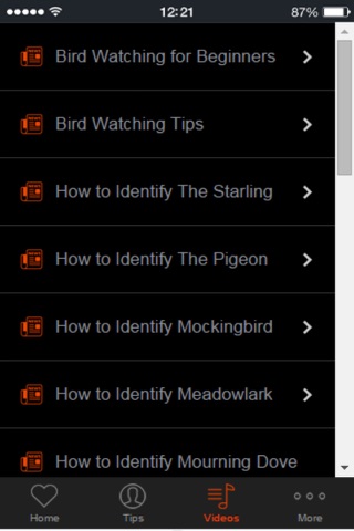 Bird Watching - Discover The Fascinating World of Birds screenshot 4