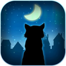 Activities of Cats Play Out - Night and Day Adventure