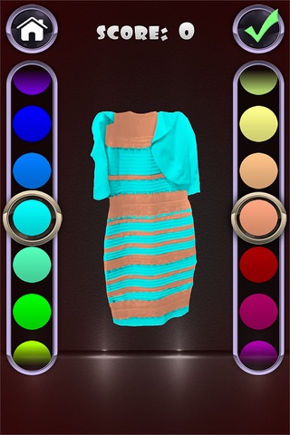 What Color Is That Dress? A Color Matching Game With The World's Most Popular Dress screenshot 2