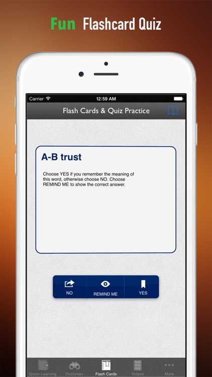 Business Disaster Planning and Risk Management Quick Reference: Dictionary with Video Lessons and Cheat Sheets screenshot-3