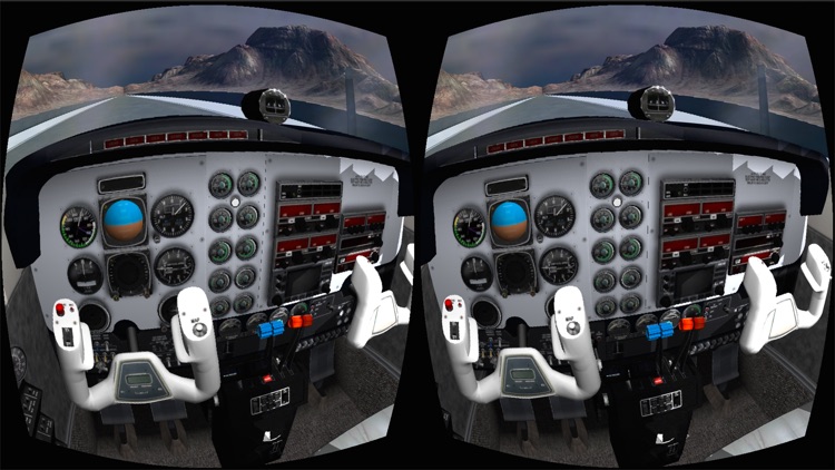 Flight Simulator - Beenoculus