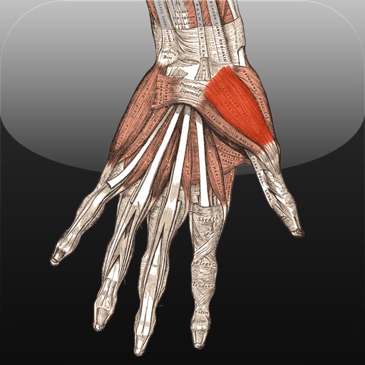 SLC: Anatomy and Physiology iOS App