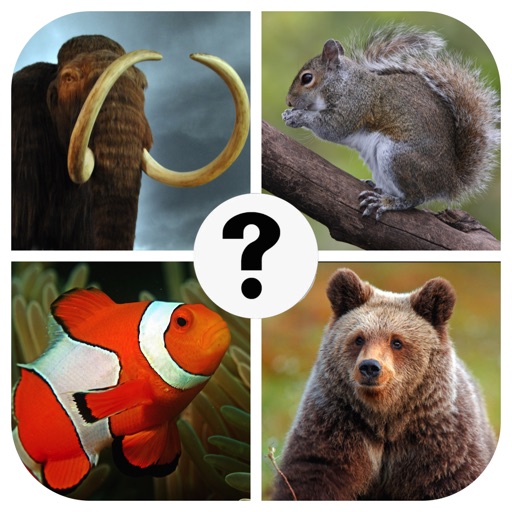 Guess the Animal Quiz - Free & Funny Word Puzzle Trivia Pics Science Spirit  Zoo Game for Kids | iPhone & iPad Game Reviews 