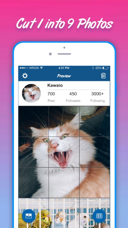 Profile Preview for Instagram - Your IG Profile Picture, Photo, Post Viewer