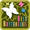 The Best Butterflies