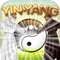 Physics Puzzle Shaolin Mystery of Yin and Yang