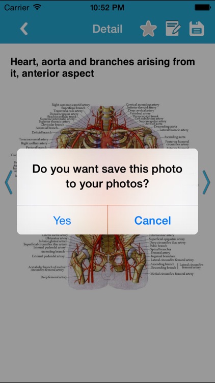 Human Anatomy Pro 2014 screenshot-4