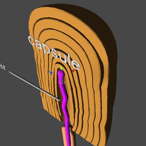 Senses of Touch, Vibration and Proprioreception icon