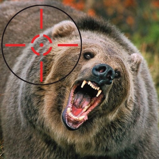 Bear Hunter Professional Icon