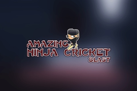 Amazing Ninja Cricket Blast Pro - best bouncing ball batting game screenshot 3