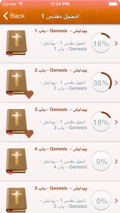 Urdu Holy Bible - انجیل مقدس