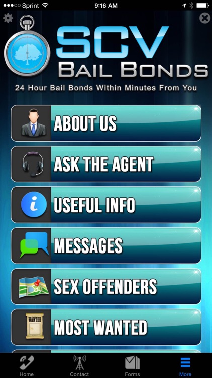 SCV Bail Bonds screenshot-3