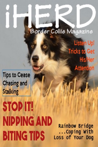 iHerd: Border Collie Lovers Magazine screenshot 2